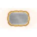 Compacte R65 minibar 12-24V vaste montage | MLB246R65ACM-MLB246R65ACM-MLB246R65ACM-2