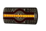 Links | LED neon achterlicht met kentekenlicht | 12-24v | 2