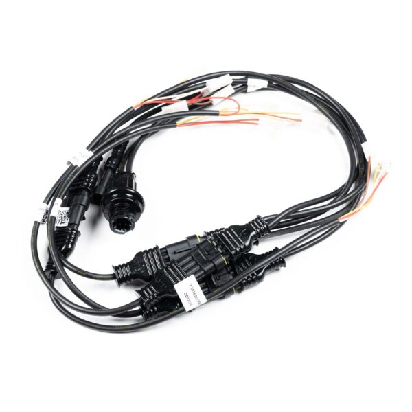 Y-kabel tbv 4 achterlichten (schuifconn.) incl. zijkabel - Afbeelding 2